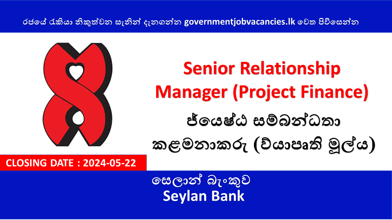 Senior Relationship Manager (Project Finance)