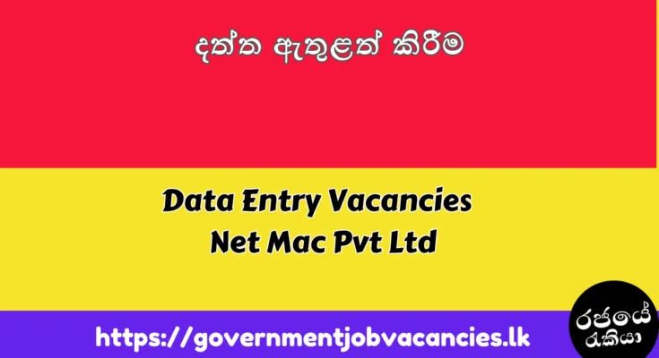 Government Job Vacancies